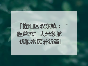 旌阳区双东镇：“旌益态”大米领航 优粮富民谱新篇